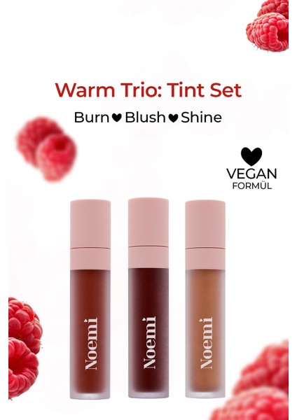 Warm Trio: Tint Set Burn - Blush - Shine