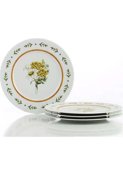 Bellis 4 Parça 21 cm Pasta Tabağı fiyatları