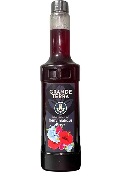 Berry Hibiskus Bazı 750ML