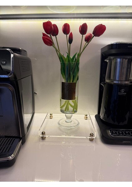 Tekli Pleksi Sunum Standı Mat Gold Pirinç Kaplama Ayaklı Mutfak / Banyo / Salon Sunumları Için Ideal fiyatları