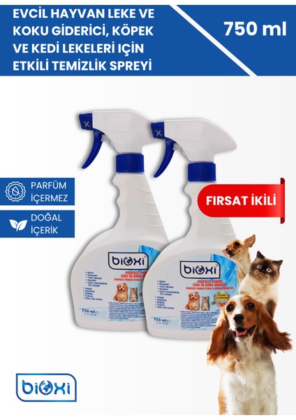® Perfect Power Leke Ve Koku 750 Ml X 2 Adet
