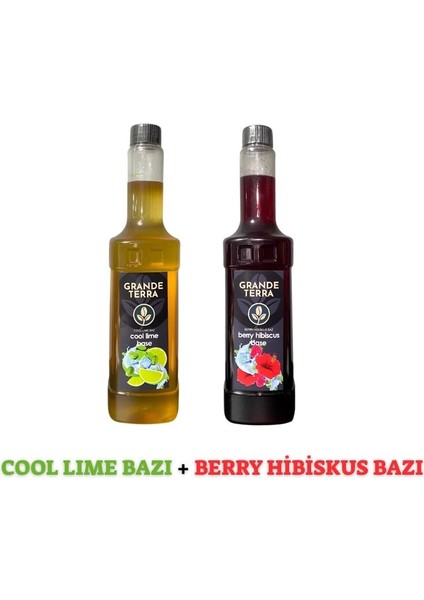 Cool Lime Bazı + Berry Hibiskus Bazı 2'li Set (2 x 750ML)