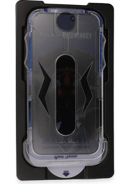 Samsung Galaxy S24 Plus Vanessa Magic Hayalet Cam - A2012-5466 modelleri