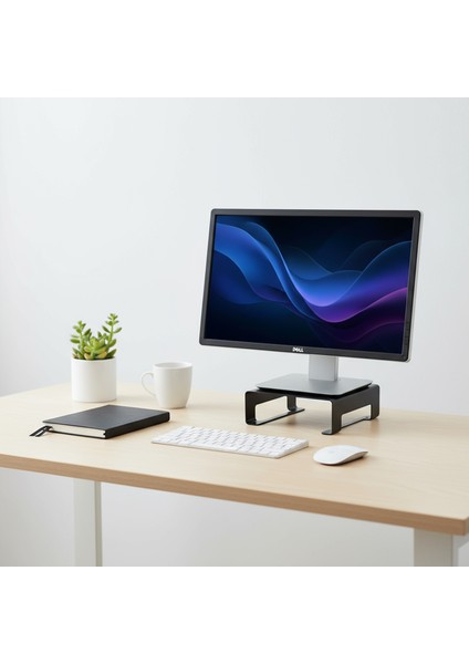 Riser Masaüstü Monitör Standı - Monitör Yükseltici - Siyah - Small - RSR8023BL modelleri