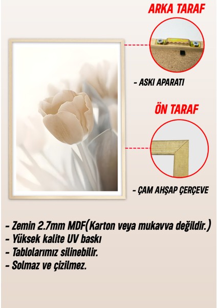 Ahşap Çerçeveli Mdf Tek Tablo Tarla ve Hasat Serisi (Kendi Tablo Setinizi Oluşturacağınız Liste) 42 x 62 Çerçeveli 1039 modelleri