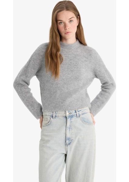 Regular fit Yarım Balıkçı Yaka Triko Kazak F4768AX25WN