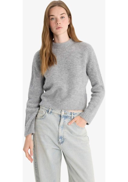 Regular fit Yarım Balıkçı Yaka Triko Kazak F4768AX25WN