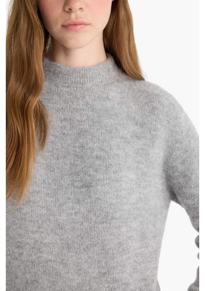Regular fit Yarım Balıkçı Yaka Triko Kazak F4768AX25WN