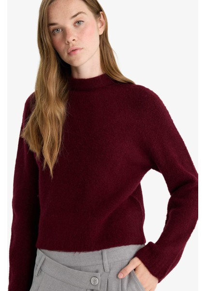 Regular fit Yarım Balıkçı Yaka Triko Kazak F4768AX25WN fırsatları