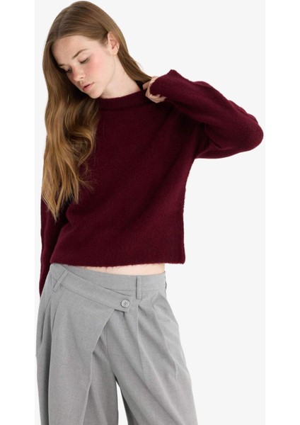Regular fit Yarım Balıkçı Yaka Triko Kazak F4768AX25WN