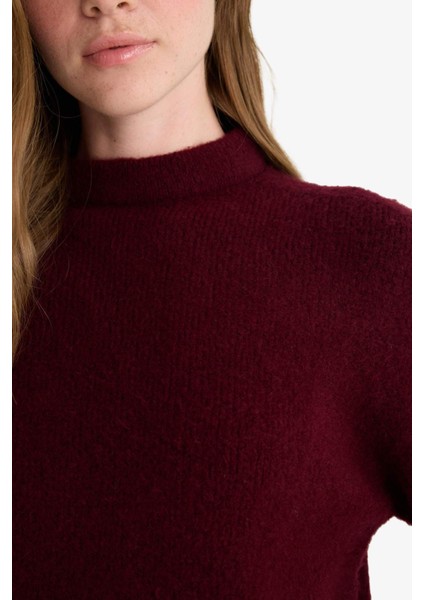 Regular fit Yarım Balıkçı Yaka Triko Kazak F4768AX25WN