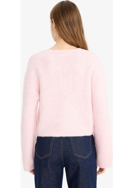 V Yaka Yumuşak Dokulu Dikişsiz Triko Kazak F4800AX25WN