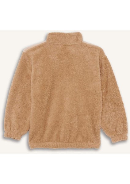 Erkek Çocuk Fermuarlı Yaka Nakışlı Pelüş Sweatshirt G2946A825WN