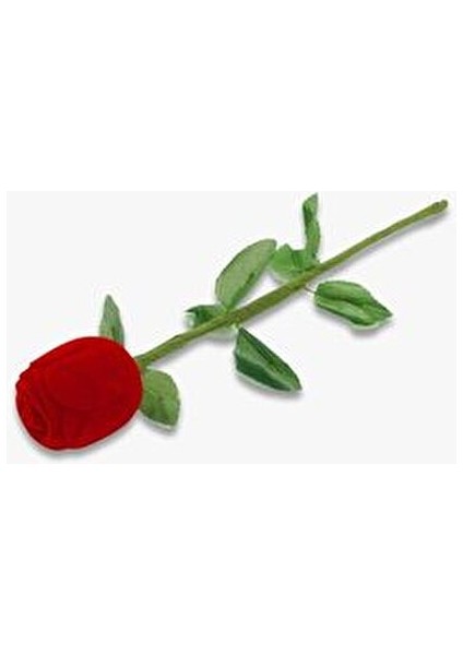 Özer Kadife Saplı Gül Şeklinde Yüzük ve Küpe Kutusu Kırmızı 4 x 27 cm