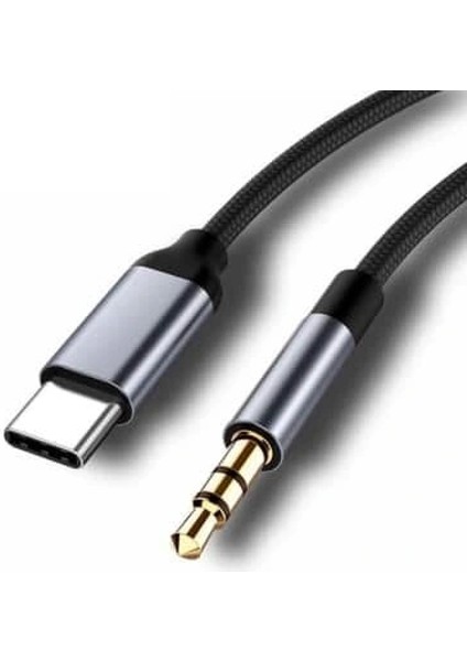 ZR309 Ft AC19 Type-C Aux Kablo