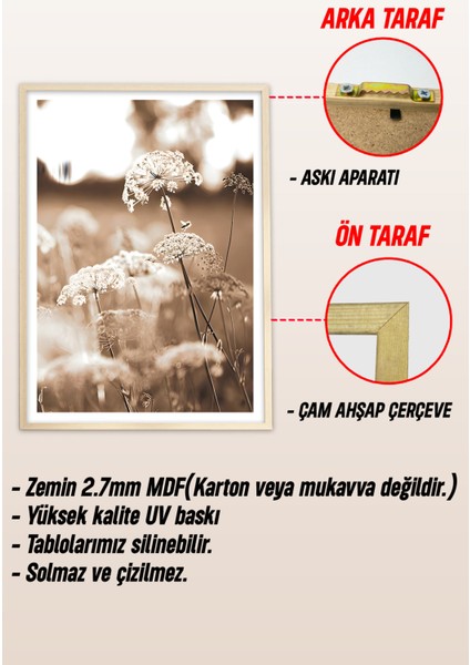 Ahşap Çerçeveli Mdf Tek Tablo Tarla ve Hasat Serisi (Kendi Tablo Setinizi Oluşturacağınız Liste) 23 x 32 Çerçeveli 1045 modelleri