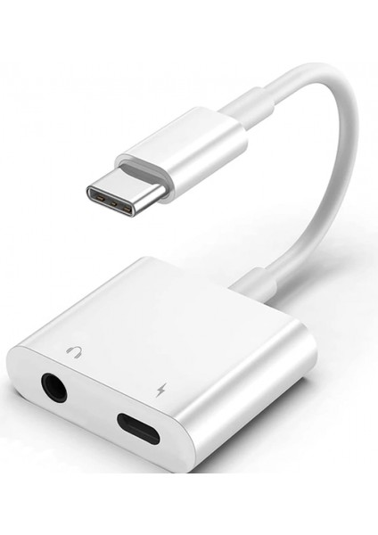 ZR733 GL054-1 Type-C Aux Şarj Çevirici