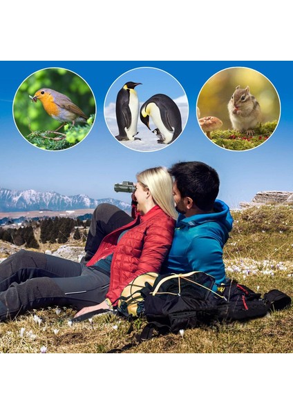 Miniscope 8X22 El Durbunu modelleri