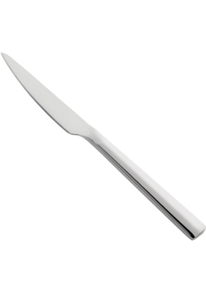 1900 Prizma 18 Parça 6 Kişilik Yemek Çatal Kaşık Bıçak Takımı fırsatları