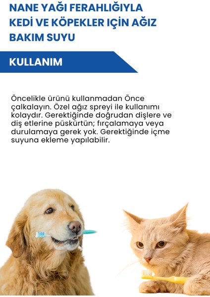 Kedi ve Köpekler İçin Ağız Bakım Suyu 100 ml fırsatları