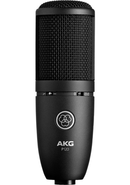 P120 Genel Amaçlı Stüdyo Kayıt Mikrofonu