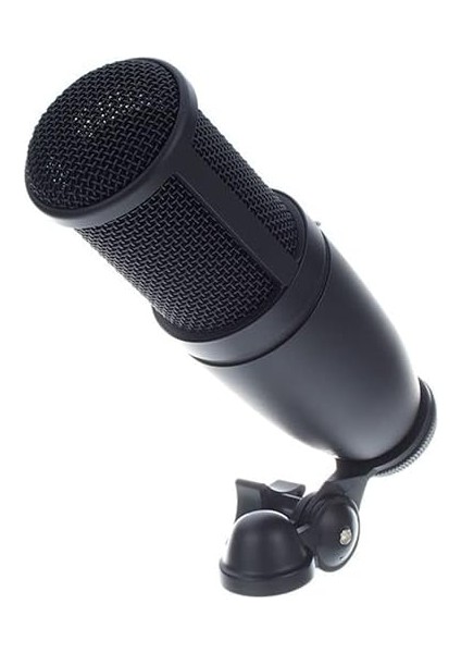 P120 Genel Amaçlı Stüdyo Kayıt Mikrofonu fırsatları