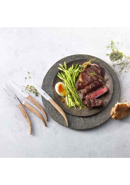 391600000 4'lü Biftek Bıçağı Seti modelleri