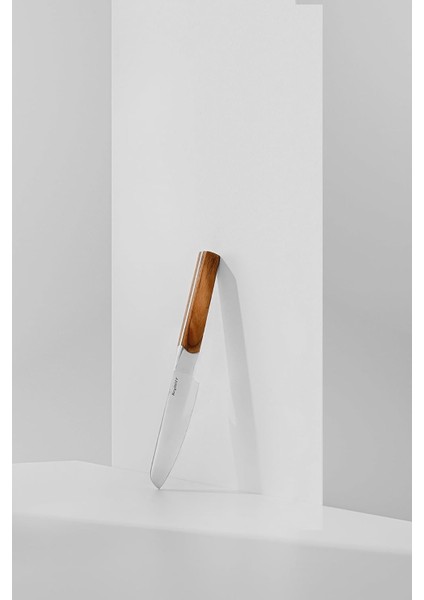 Dina Ion 3lü Bıçak Seti indirimleri