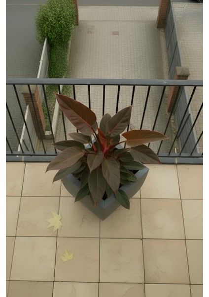 Zenith 30 cm Kare Kavisli Saksı - İç ve Dış Mekan Modern Metal Saksılık (30x30/20 cm) indirimleri