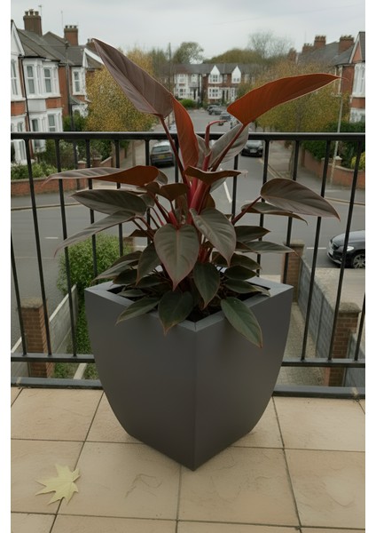 Zenith 30 cm Kare Kavisli Saksı - İç ve Dış Mekan Modern Metal Saksılık (30x30/20 cm)