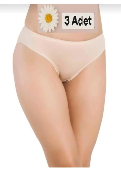 3'lü Papatya Bambu Bikini Külot Krem 2521
