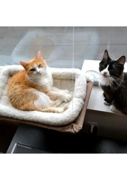 Petzoom Pencereye Monte Kedi Yatağı fırsatları