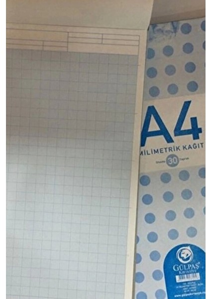 Milimetrik Defteri A4 21x30 cm Mavi Renk 30 Yapraklı Tasarımcılar İçin fiyatları