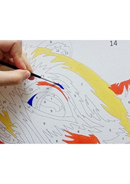 Sayılarla Boyama Seti 40x50 cm Pamuklu Tuval ile Sanatınızı Yaratın fırsatları