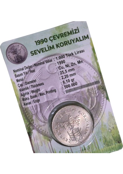 11 Adet Çil Para Lotu Özel Kitinde