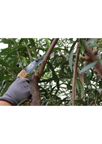 S-330H Profesyonel Budama Testeresi – 330 mm Kavisli Bıçak, Sk-4 Japon Çeliği, Kılıflı fiyatları