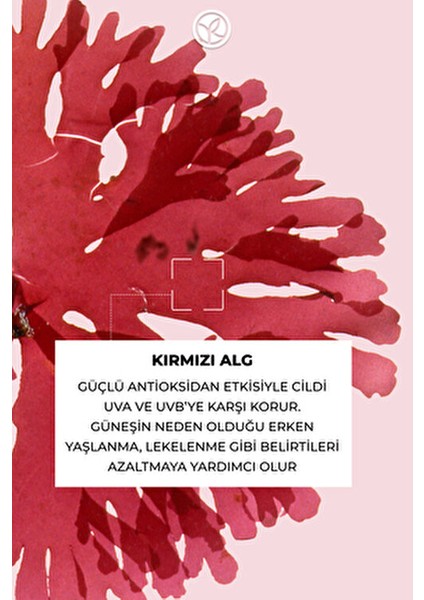Vücut Güneş Spreyi 50+ SPF Tüm Cilt Tipleri İçin Renksiz Nemlendirici 150 Ml fırsatları