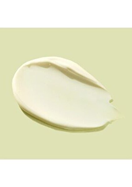 Green Grape Güneş Kremi SPF50 Tüm Cilt Tipleri İçin Sebum Dengeleyici 50g