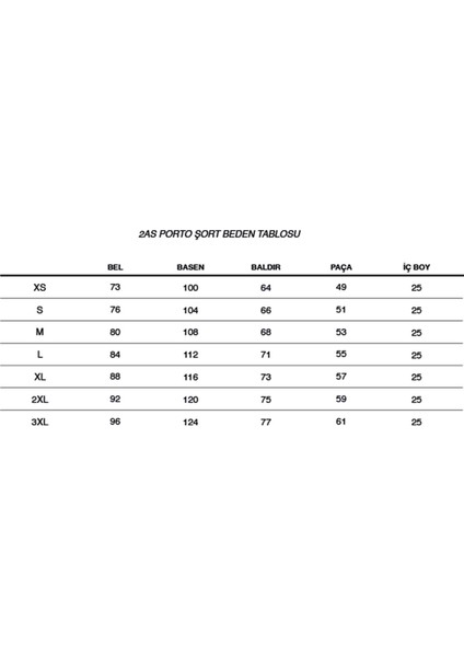 Porto Erkek Şort Gümüş