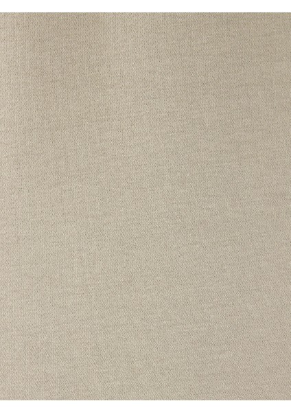 Regular Fit Taş Erkek Sweatshirt LF2034268 indirimleri