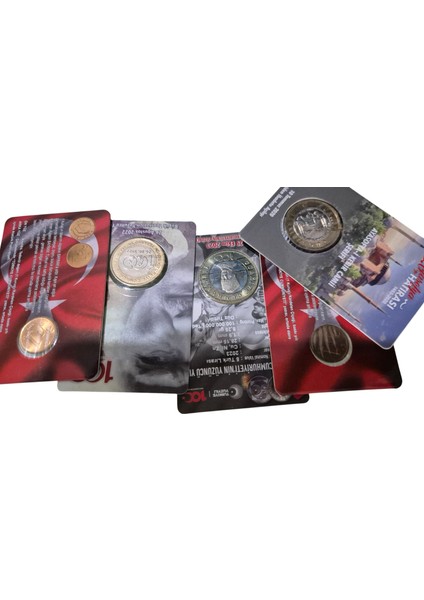 Çil Para Lotu Özel Kitinde 9 Adet modelleri