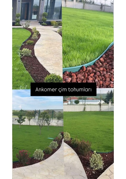 Green Queen Çim Tohumu 4m - 10KG (Ingiliz/danimarka Çimi) fiyatları