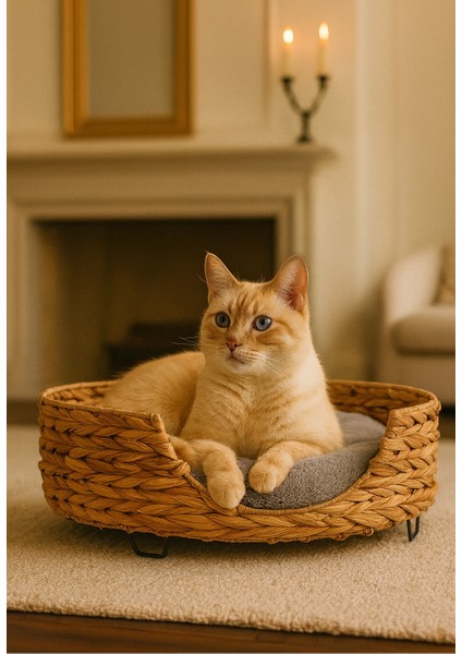 Dekoratif Yuvarlak Hasır Kedi Köpek Yatagı Sepet 50X20CM