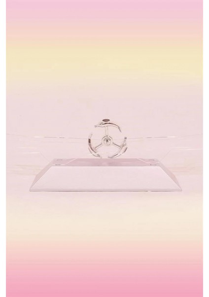 Dekoratif Masa Üstü Obje Manyetik Kinetik Orbital Dönen Yunuslar fırsatları