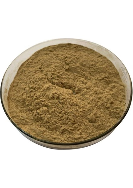 Aslan Pençesi Ekstrakt 250 Gr. fiyatları