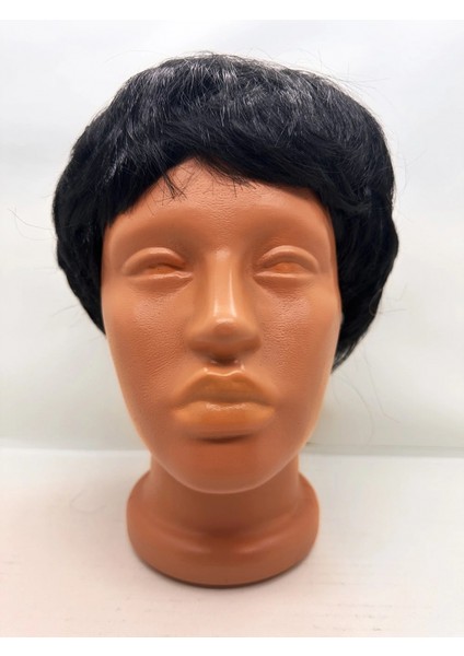 Siyah Renk Kısa Kesim İçi Astarlı Erkek Peruğu (4887) fiyatları