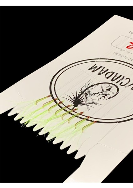 Istavrit Çaparisi Sarı Iğneli 8li Tekne