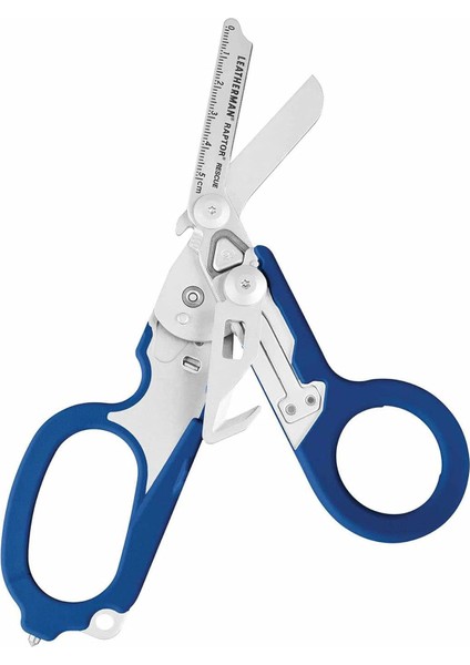 Raptor Rescue - Mavi