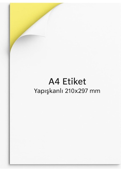 Label A4 Etiket Yapışkanlı | 100 Sayfa Adres Etiketi 210X297 mm - 100 Sayfa Çok Amaçlı Etiketler - Adres Etiketler - Beyaz Etiket