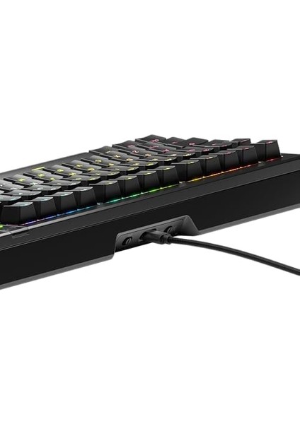Gmmk 3 Pro Mekanik Gaming Klavye%75, Modüler Gövde ve Conta Sistemi, Mekanik Mx Anahtarları, Ses Bastırıcı Köpük, Özel Tuş Başlıkları, Ansı (S) modelleri